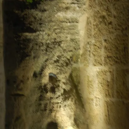 Rocaminori 3* Louresse-Rochemenier